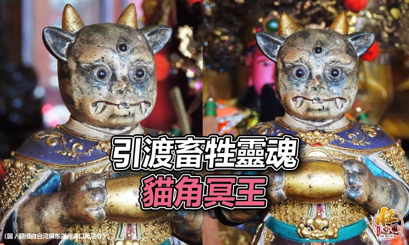旺好運 湊熱鬧 想祭拜就用罐罐 貓角冥王 專門拯救動物靈魂 旺好運